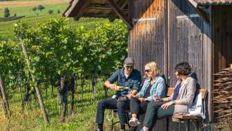 Schaffhausen_Hallau_Blauburgunderland_Herbstkampagne_ST_2024 2024, Schaffhausen, Schweiz Tourismus, Thurgau